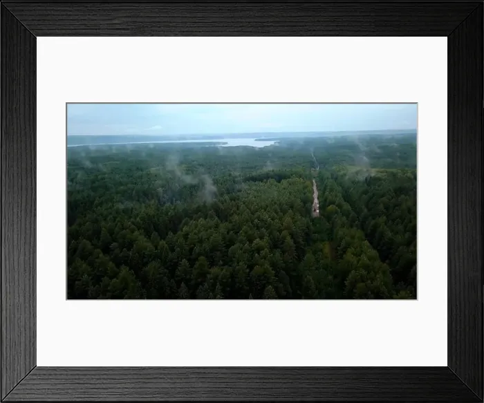 Framed Print : Green fields with summer trees Framed Print : Green fields with summer trees