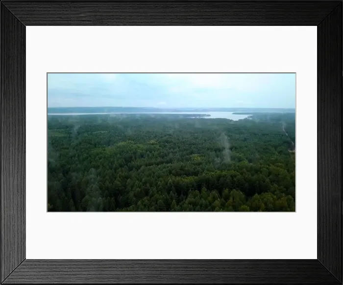 Framed Print : Light fog over the green forest Framed Print : Light fog over the green forest
