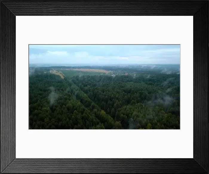 Framed Print : Light fog over the green forest Framed Print : Light fog over the green forest