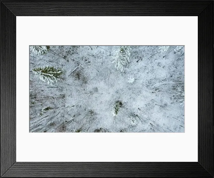 Framed Print : December forest. Clip.Helicopter view of early winter and trees under the snow that stand next to each other Framed Print : December forest. Clip.Helicopter view of early winter and trees under the snow that stand next to each other