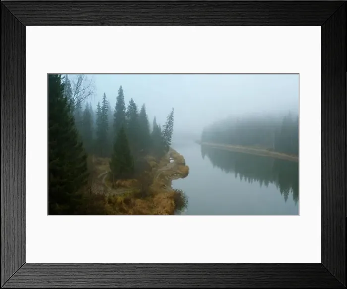 Framed Print : View from a height of the forest landscape Framed Print : View from a height of the forest landscape