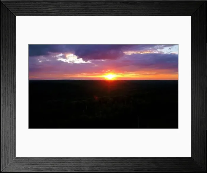 Framed Print : Purple sunset. Clip.The view from the drone is a purple-pink sky and the tops of fir trees with green branches Framed Print : Purple sunset. Clip.The view from the drone is a purple-pink sky and the tops of fir trees with green branches