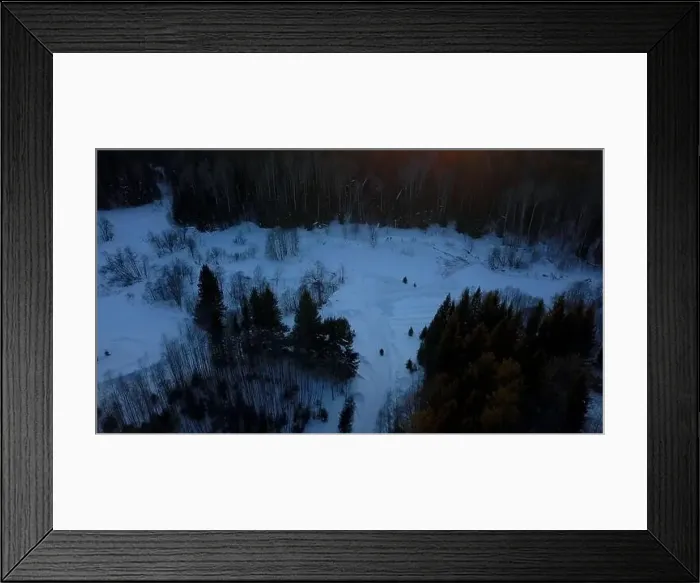 Framed Print : Snowy bare forest. Clip.Helicopter view of green almost leafless trees and snow drifts around with a blue sky Framed Print : Snowy bare forest. Clip.Helicopter view of green almost leafless trees and snow drifts around with a blue sky