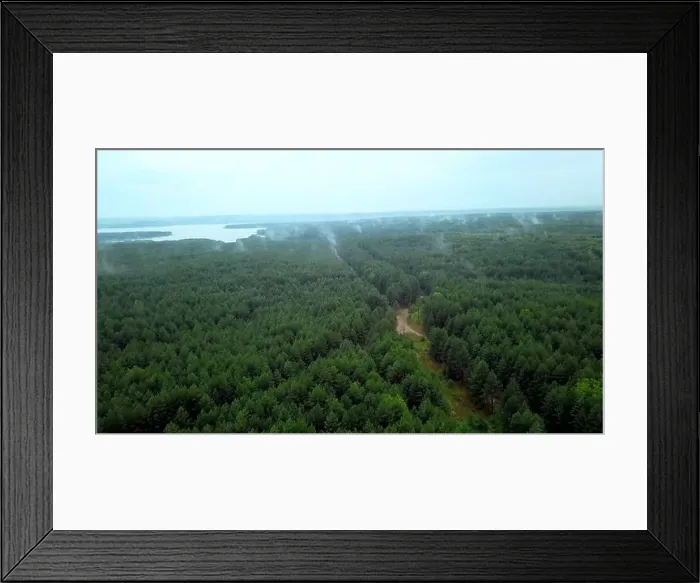 Framed Print : Gray landscape with forest and fog Framed Print : Gray landscape with forest and fog