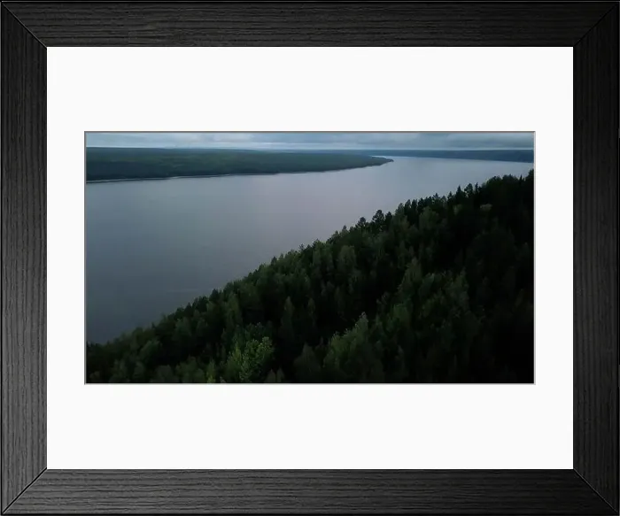 Framed Print : Gray landscape with forest and fog Framed Print : Gray landscape with forest and fog