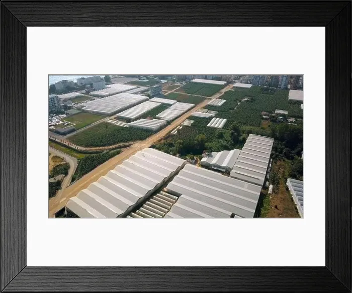 Framed Print : Top view of agricultural greenhouses Framed Print : Top view of agricultural greenhouses