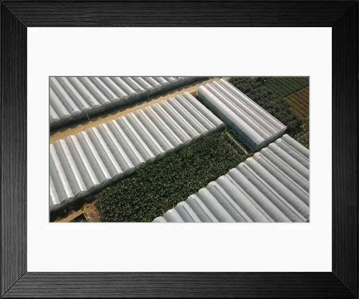 Framed Print : Top view of agricultural greenhouses Framed Print : Top view of agricultural greenhouses