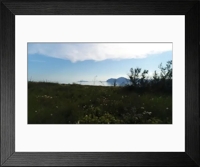 Framed Print : Beautiful view of coast with grass on background of rocks and sea Framed Print : Beautiful view of coast with grass on background of rocks and sea