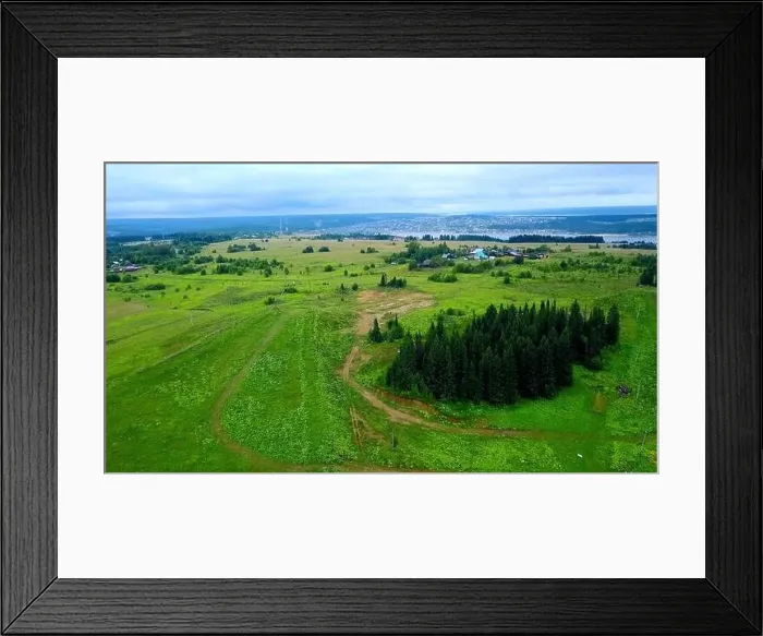 Framed Print : Aerial view of the green grass meadow with pine trees. Clip. Flying above endless valley of summer trees and field Framed Print : Aerial view of the green grass meadow with pine trees. Clip. Flying above endless valley of summer trees and field