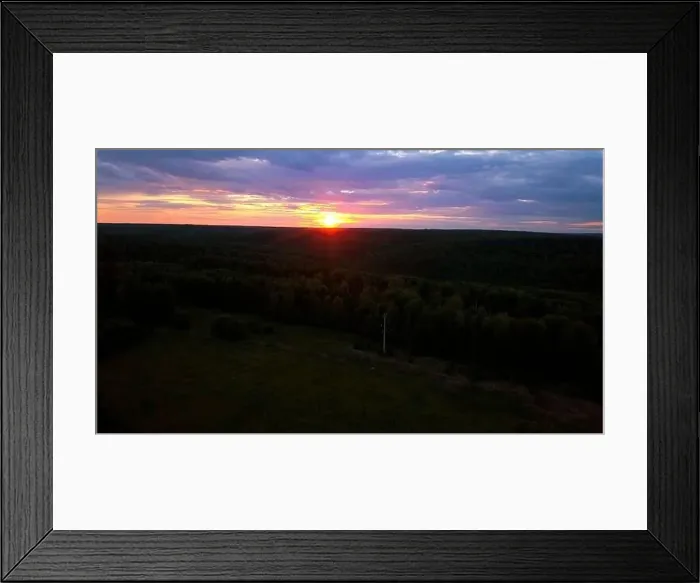 Framed Print : Green pine forest of spruce trees and sunrise rays shining through branches in autumn mountains Framed Print : Green pine forest of spruce trees and sunrise rays shining through branches in autumn mountains
