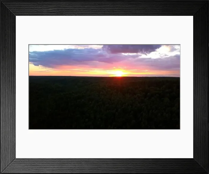 Framed Print : Green pine forest of spruce trees and sunrise rays shining through branches in autumn mountains Framed Print : Green pine forest of spruce trees and sunrise rays shining through branches in autumn mountains