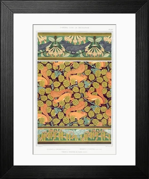 Framed Print : Bird-Squirrel / Illustration from L'animal dans la decoration (1897) by Maurice Pillard Verneuil Framed Print : Bird-Squirrel / Illustration from L'animal dans la decoration (1897) by Maurice Pillard Verneuil