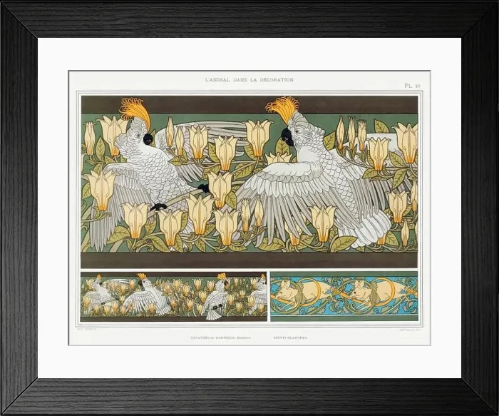 Framed Print : Cockatoo / Illustration from L'animal dans la decoration (1897) by Maurice Pillard Verneuil Framed Print : Cockatoo / Illustration from L'animal dans la decoration (1897) by Maurice Pillard Verneuil
