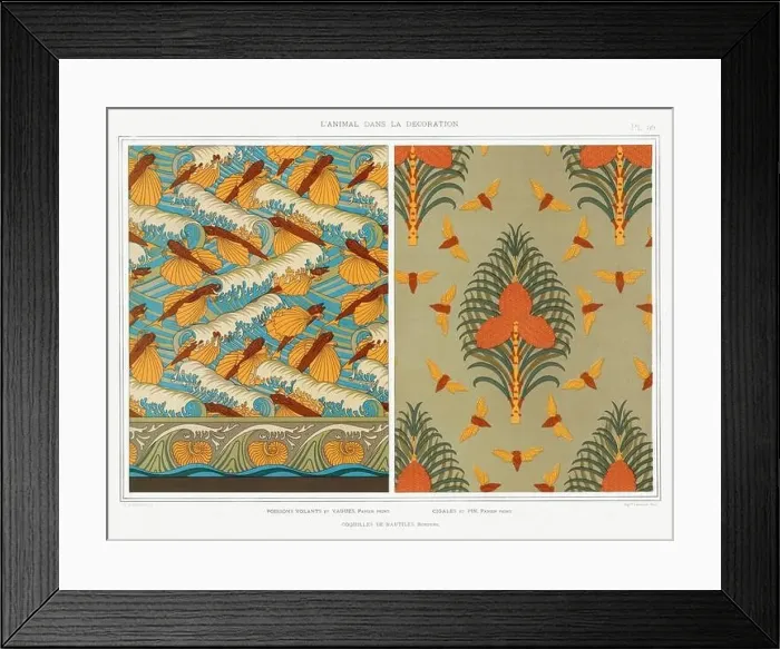 Framed Print : Fish-Nautilus-Moth / Illustration from L'animal dans la decoration (1897) by Maurice Pillard Verneuil Framed Print : Fish-Nautilus-Moth / Illustration from L'animal dans la decoration (1897) by Maurice Pillard Verneuil