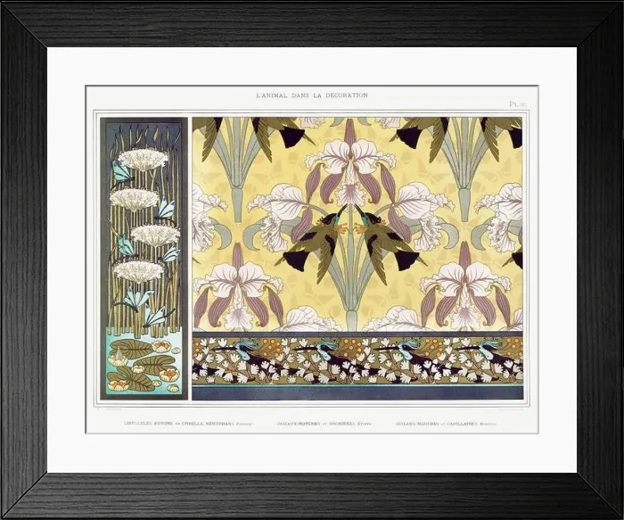 Framed Print : Hummingbird-Dragonfly / Illustration from L'animal dans la decoration (1897) by Maurice Pillard Verneuil Framed Print : Hummingbird-Dragonfly / Illustration from L'animal dans la decoration (1897) by Maurice Pillard Verneuil