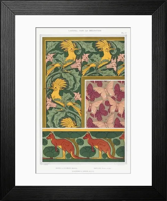 Framed Print : hummingbird-Kangaroo / Illustration from L'animal dans la decoration (1897) by Maurice Pillard Verneuil Framed Print : hummingbird-Kangaroo / Illustration from L'animal dans la decoration (1897) by Maurice Pillard Verneuil
