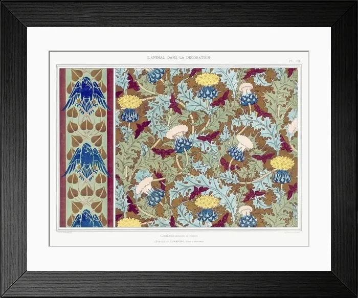 Framed Print : Hummingbird-Dragonfly Framed Print : Hummingbird-Dragonfly