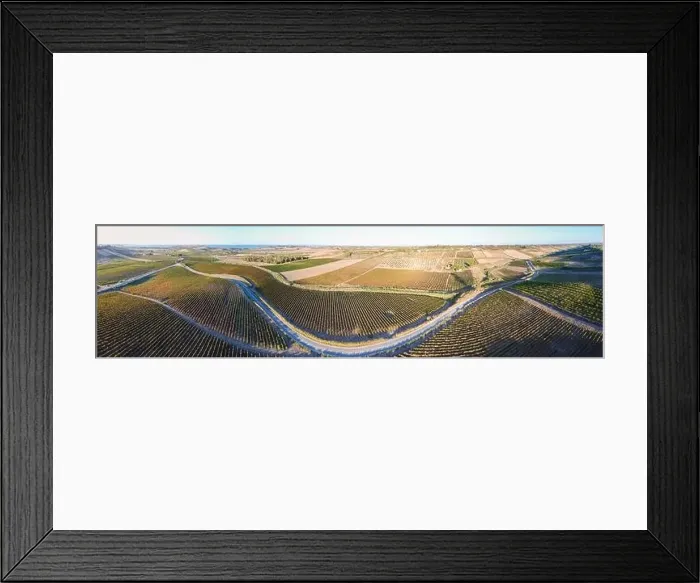 Framed Print : Aerial drone. Rows of Vineyards in Menfi, Sicily Framed Print : Aerial drone. Rows of Vineyards in Menfi, Sicily