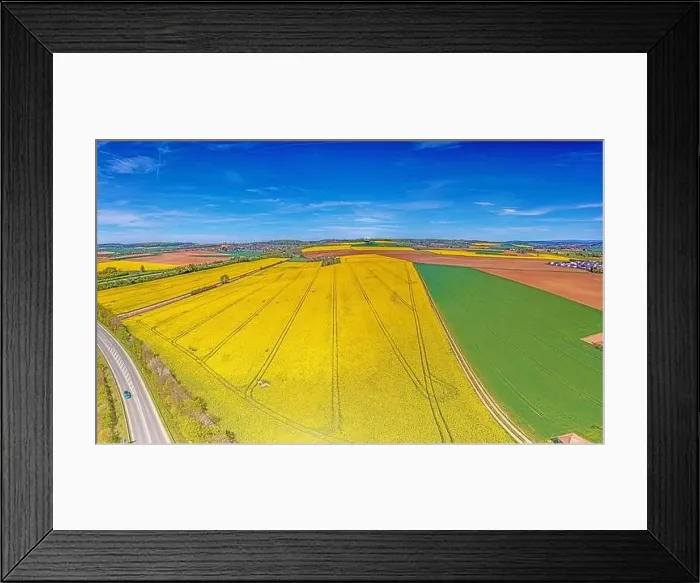 Framed Print : Aerial drone picture of rape field in spring in typical bright yellow color during daytime Framed Print : Aerial drone picture of rape field in spring in typical bright yellow color during daytime