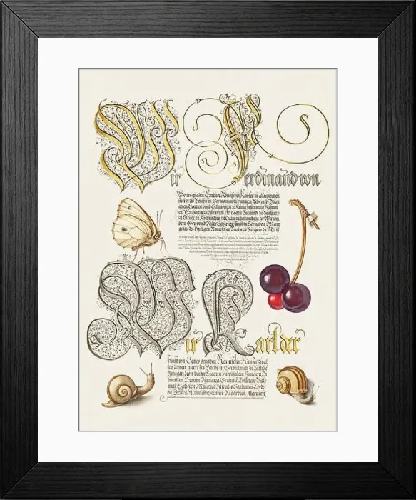 Framed Print : Medieval ornaments. Butterfly, Sweet Cherry and Land Snails Framed Print : Medieval ornaments. Butterfly, Sweet Cherry and Land Snails