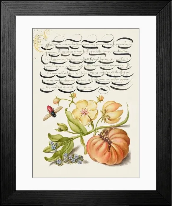 Framed Print : Medieval ornaments. Insect, Moth Mullein, Forget Me Not, and Tomato Framed Print : Medieval ornaments. Insect, Moth Mullein, Forget Me Not, and Tomato