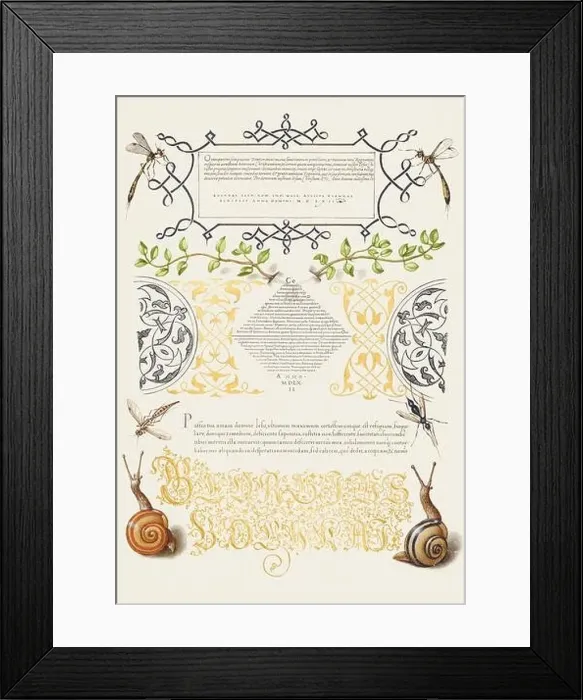 Framed Print : Medieval ornaments. Insects, Basil Thyme, and Land Snails Framed Print : Medieval ornaments. Insects, Basil Thyme, and Land Snails