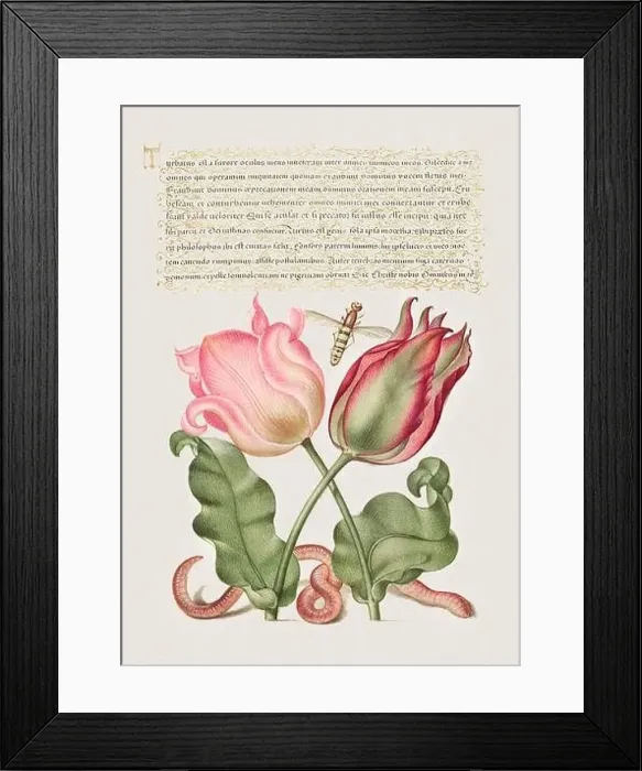 Framed Print : Medieval ornaments. Tulips, Insect, and Worm Framed Print : Medieval ornaments. Tulips, Insect, and Worm