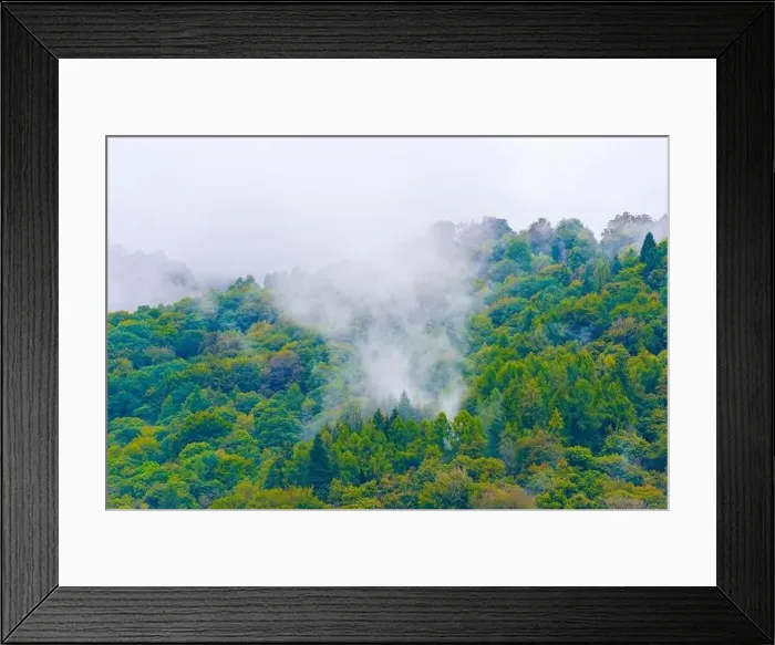 Framed Print : Mountain with Green Forest with Clouds in Ticino, Switzerland Framed Print : Mountain with Green Forest with Clouds in Ticino, Switzerland
