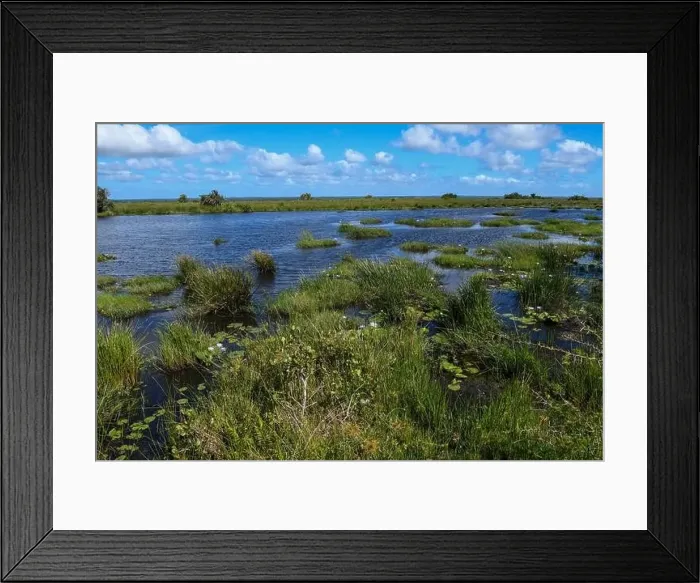 Framed Print : Landscape of Isimangaliso wetland park in South Africa Framed Print : Landscape of Isimangaliso wetland park in South Africa