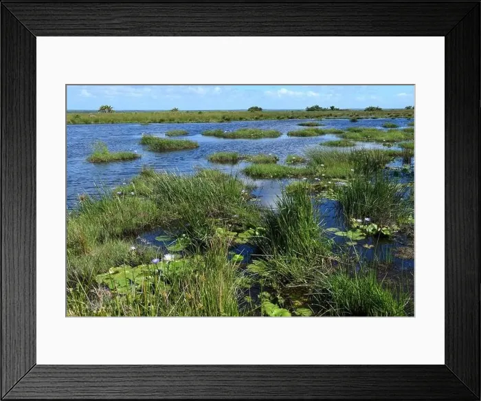 Framed Print : Landscape of Isimangaliso wetland park in South Africa Framed Print : Landscape of Isimangaliso wetland park in South Africa