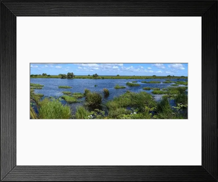 Framed Print : Landscape of Isimangaliso wetland park in South Africa Framed Print : Landscape of Isimangaliso wetland park in South Africa