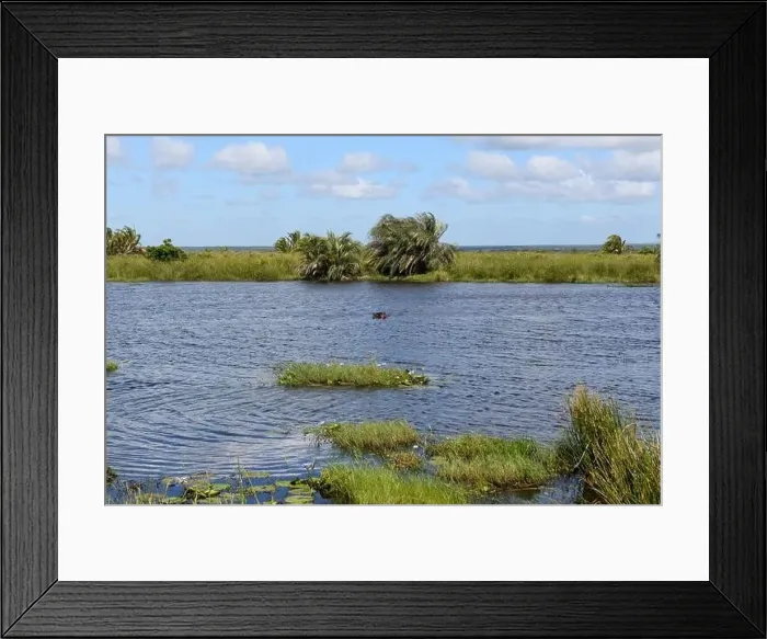 Framed Print : Landscape of Isimangaliso wetland park in South Africa Framed Print : Landscape of Isimangaliso wetland park in South Africa