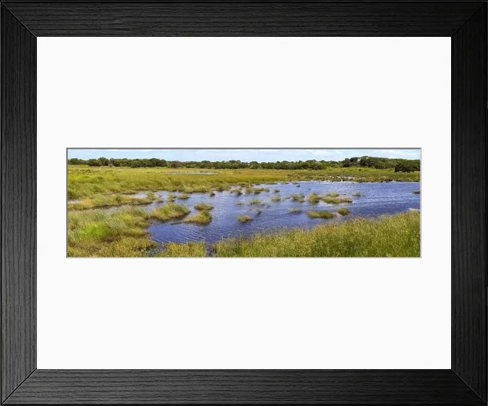Framed Print : Landscape of Isimangaliso wetland park in South Africa Framed Print : Landscape of Isimangaliso wetland park in South Africa