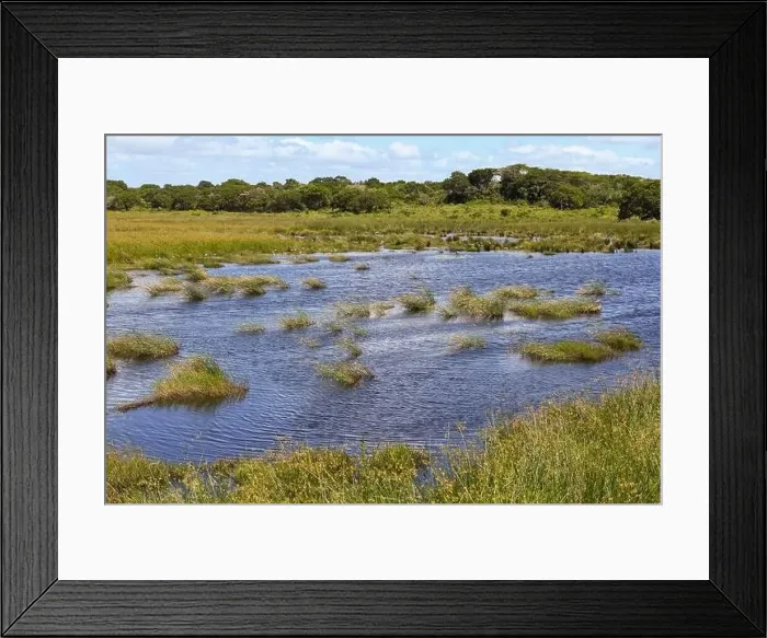 Framed Print : Landscape of Isimangaliso wetland park in South Africa Framed Print : Landscape of Isimangaliso wetland park in South Africa