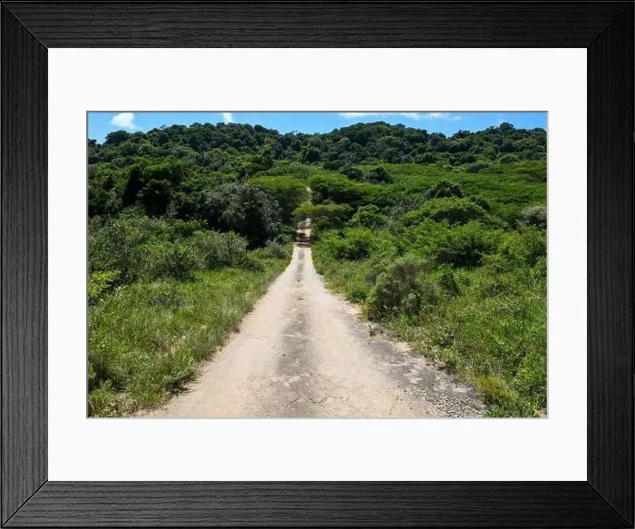 Framed Print : Dirt road on Isimangaliso wetland park in South Africa Framed Print : Dirt road on Isimangaliso wetland park in South Africa