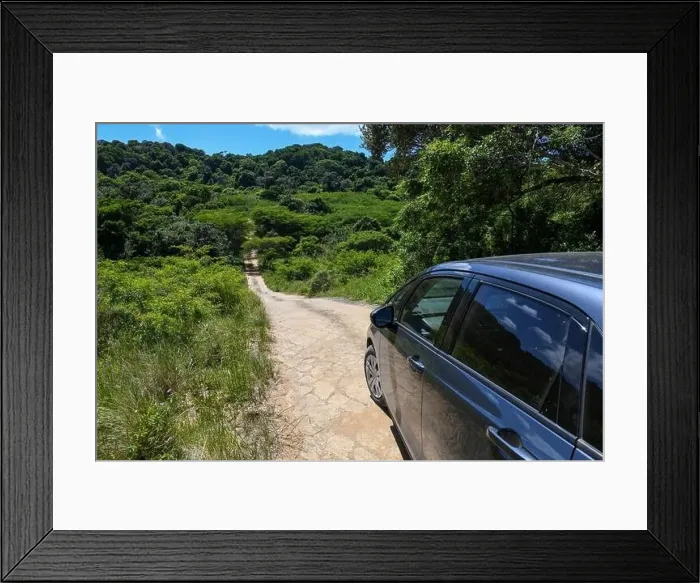 Framed Print : Dirt road on Isimangaliso wetland park in South Africa Framed Print : Dirt road on Isimangaliso wetland park in South Africa