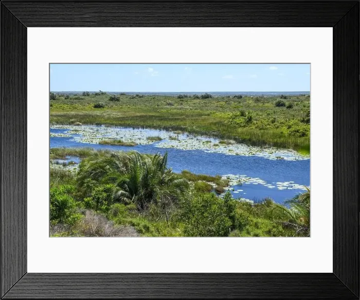 Framed Print : Landscape of Isimangaliso wetland park in South Africa Framed Print : Landscape of Isimangaliso wetland park in South Africa