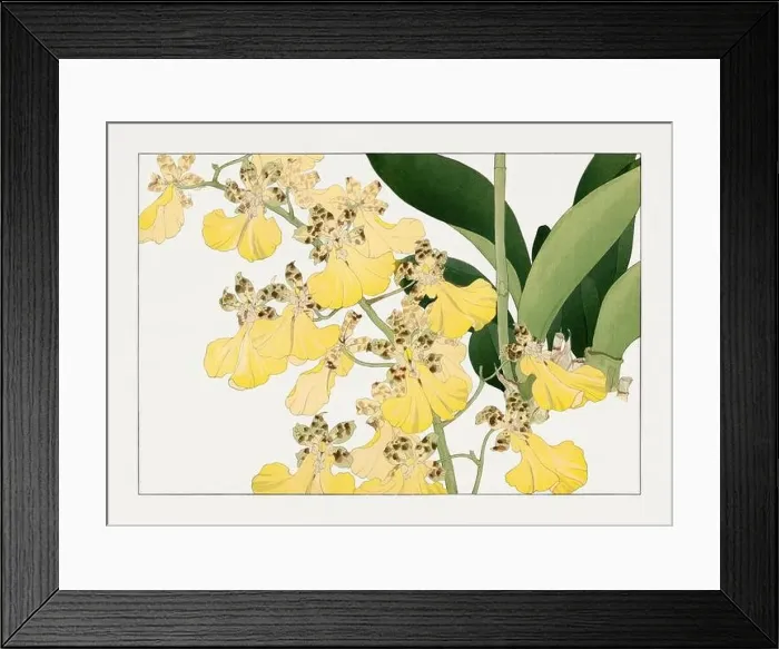 Framed Print : Yellow orchid flower. Asian art. Japanese flower woodblock art by Tanigami Kônan Framed Print : Yellow orchid flower. Asian art. Japanese flower woodblock art by Tanigami Kônan