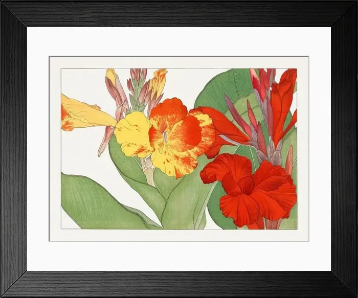 Framed Print : Canna flower. Asian art. Japanese flower woodblock art by Tanigami Kônan Framed Print : Canna flower. Asian art. Japanese flower woodblock art by Tanigami Kônan