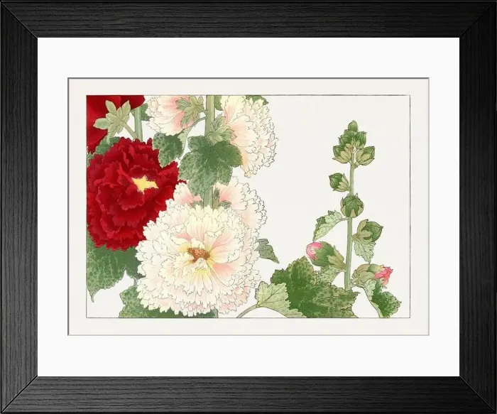 Framed Print : Hollyhock flower. Asian art. Japanese flower woodblock art by Tanigami Kônan Framed Print : Hollyhock flower. Asian art. Japanese flower woodblock art by Tanigami Kônan