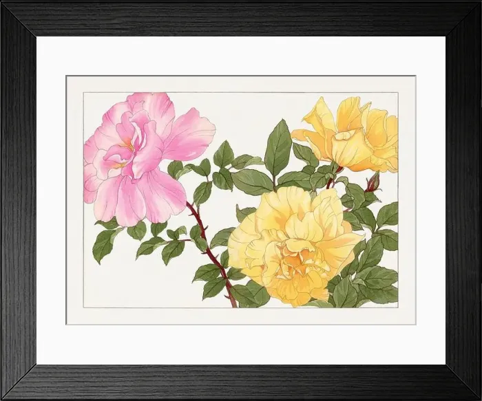 Framed Print : Rose flower. Asian art. Japanese flower woodblock art by Tanigami Kônan Framed Print : Rose flower. Asian art. Japanese flower woodblock art by Tanigami Kônan
