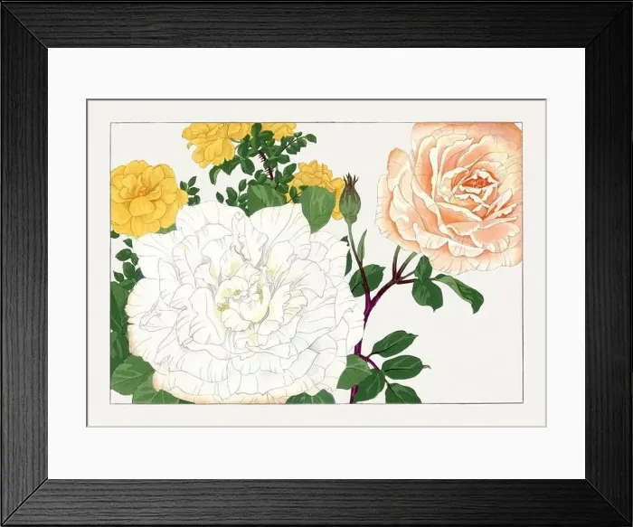 Framed Print : Rose. Asian art. Japanese flower woodblock art by Tanigami Kônan Framed Print : Rose. Asian art. Japanese flower woodblock art by Tanigami Kônan