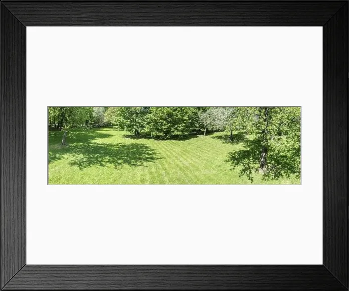 Framed Print : spring scenery. green trees in city park at sunny day. aerial view