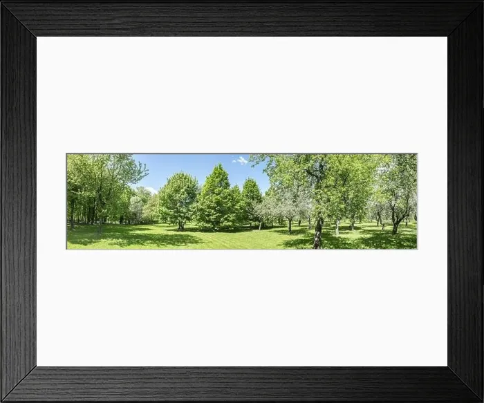 Framed Print : spring park landscape in sunny day. bright green foliage of trees and lawn. drone point view Framed Print : spring park landscape in sunny day. bright green foliage of trees and lawn. drone point view