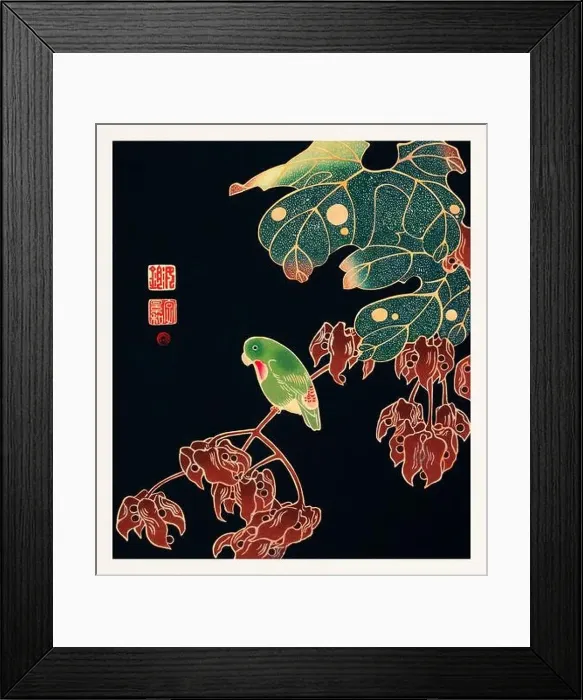 Framed Print : the parroquet. Colorful bird illustration on black background by Itō Jakuchū (1716-1800) Framed Print : the parroquet. Colorful bird illustration on black background by Itō Jakuchū (1716-1800)