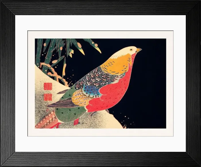 Framed Print : Golden Pheasant. Colorful bird illustration on black background by Itō Jakuchū (1716-1800) Framed Print : Golden Pheasant. Colorful bird illustration on black background by Itō Jakuchū (1716-1800)