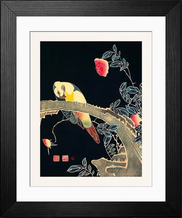 Framed Print : Parrot on a branch and Camellias. Colorful bird illustration on black background by Itō Jakuchū (1716-1800)