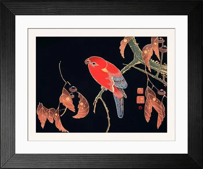 Framed Print : Red Parrot. Colorful bird illustration on black background by Itō Jakuchū (1716-1800) Framed Print : Red Parrot. Colorful bird illustration on black background by Itō Jakuchū (1716-1800)