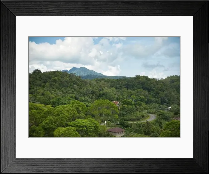 Framed Print : Panorama drone shot over rainforest on Flores with green hills in background Framed Print : Panorama drone shot over rainforest on Flores with green hills in background