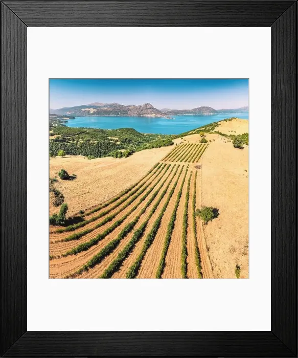 Framed Print : Lavender and agricultural shrub plantations with Lake Egirdir in the background. Aerial view Framed Print : Lavender and agricultural shrub plantations with Lake Egirdir in the background. Aerial view